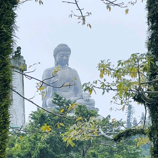 昂坪360的纜車，由高空打開，香港大嶼山！