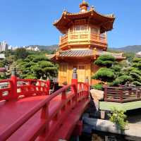 園林之中~山水相依~水隨山轉~南蓮園池