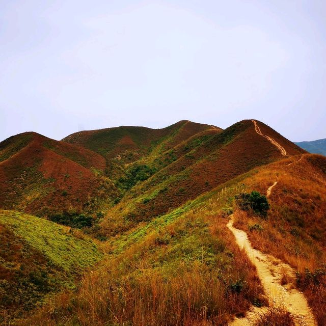 沿著邊境線行山
