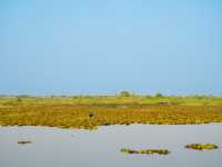 Red Lotus Lake, Udorn Thani - Unseen Thailand
