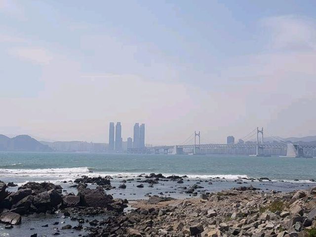 Dongbaekseom Island