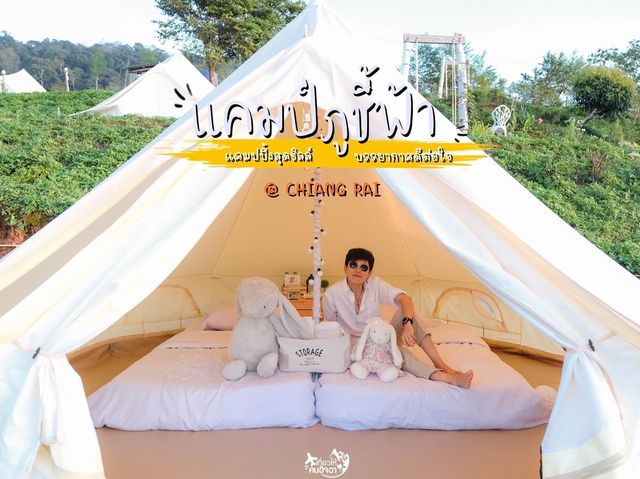 CAMP Phuchifa แคมป์ภูชี้ฟ้า 