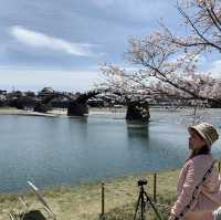 山口県　岩国市　錦帯橋