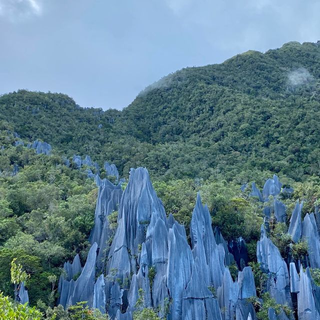 The Famous Mulu Pinnacles