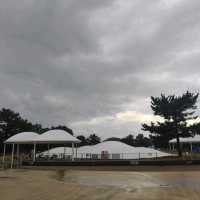 福岡親子遊8️⃣ - 海之中道海濱公園