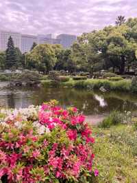 東京【日比谷公園】東京の公園でネモフィラが見れる場所💙