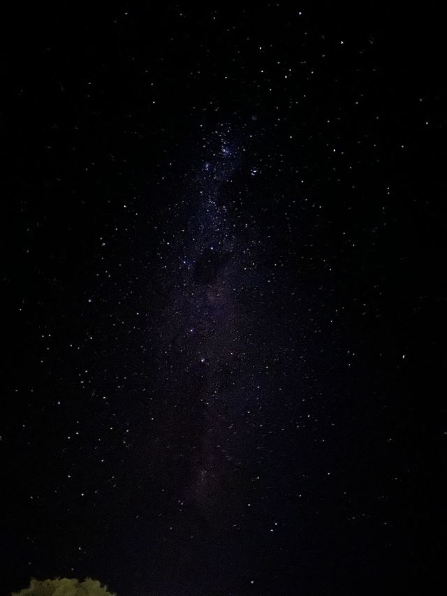 Tasmania is underrated! + MILKY WAY! (part 2)