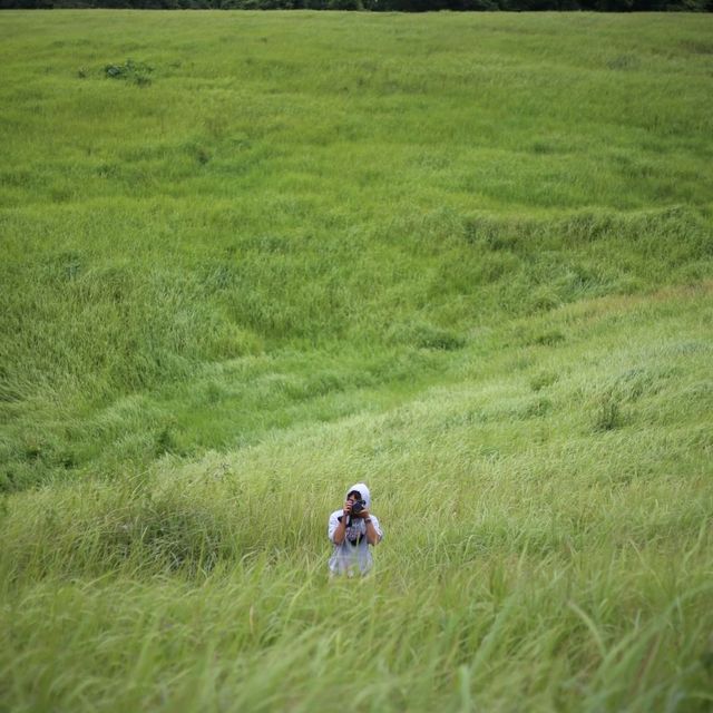 อุทยานแห่งชาติเขาใหญ่ น้ำผุดธรรมชาติ ปากช่องในฤดูฝน