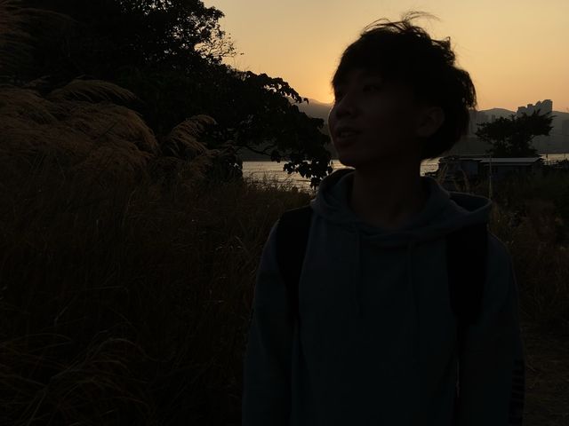 大片芒草打卡好地方