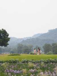 🌼คาเฟ่ในสวนดอกไม้ 🍃นาทีนี้ยกให้ ‘Blossom bloom’ 
