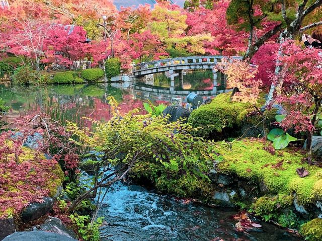 เที่ยวใบไม้เปลี่ยนสี เกียวโต วัดเอกันโดเซ็นริน 🍁⛩️