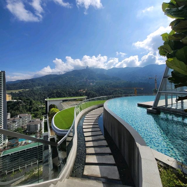 Swim with a View 