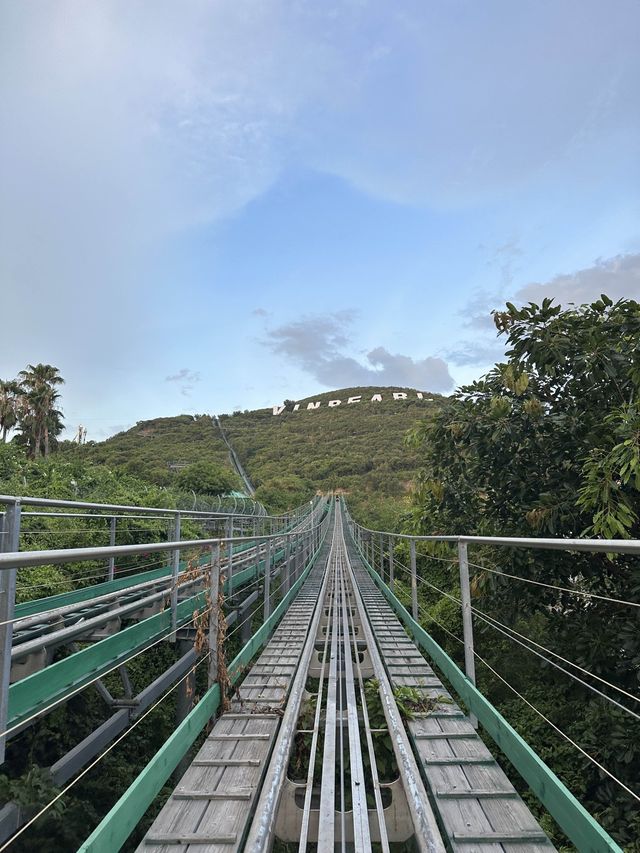 무동력 롤러코스터, 알파인 코스터🎢😳