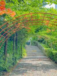 조만간 또 피면 여기서 만나🍃🧡