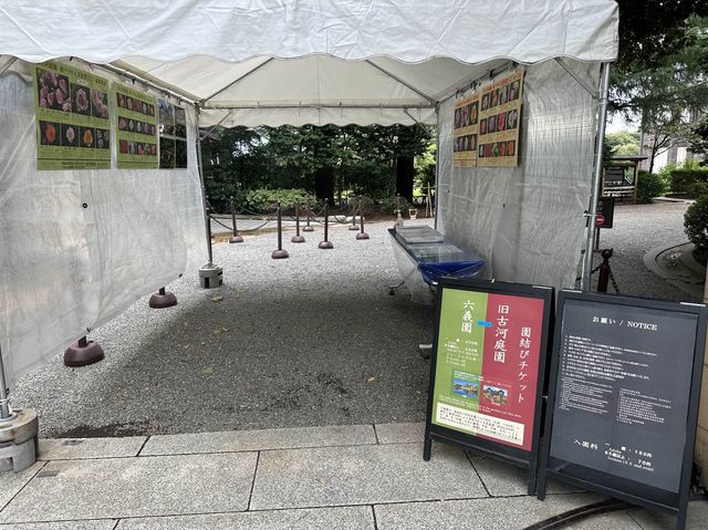 東京・北区。バラの季節には多くの品種の花が咲き誇るそうです『旧古河庭園』