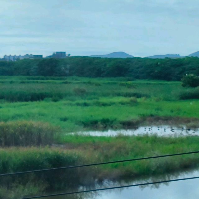 宜蘭賞鳥屋民宿在濕地生態池邊享受慢活生活