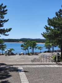 橫濱八景島海島樂園,好玩一天遊