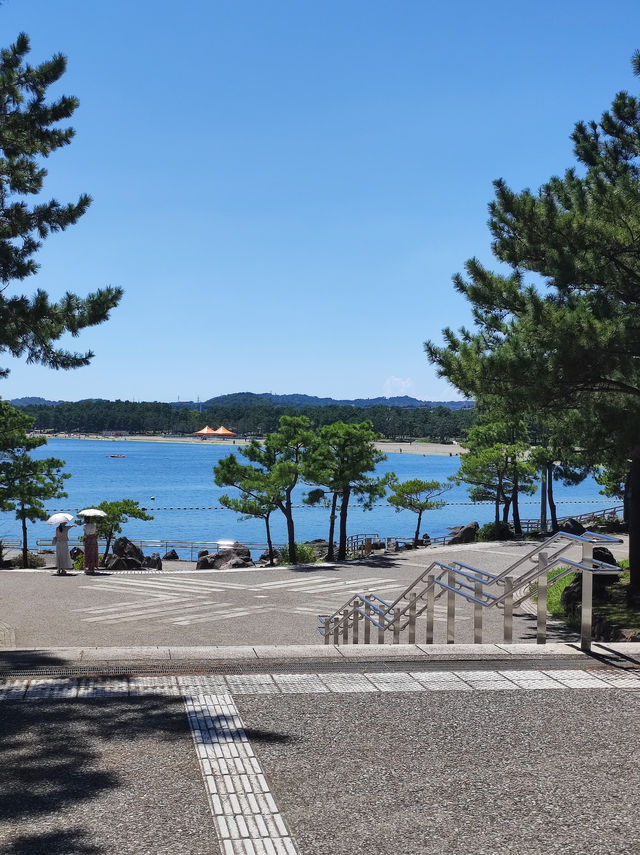 橫濱八景島海島樂園,好玩一天遊