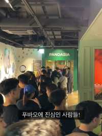 에버랜드 푸바오를 보기 위한 줄 클라스🐼 판다월드 입장 꿀팁