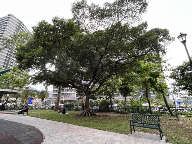 九龍佐治五世紀念公園