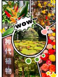 神代植物公園～大自然的綠寶石💚🌿🌺