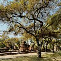 วัดพระศรีสรรเพชญ์