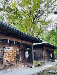 【山形県/伊勢両宮】2023年行ってよかった！山形県の神社⑤