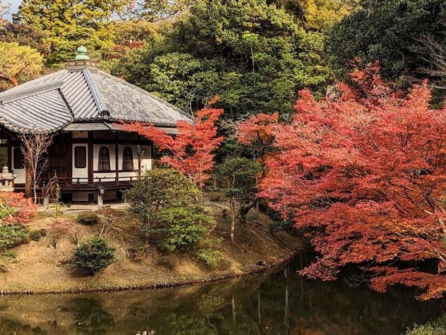 歷史悠久的日本庭園 。桂離宮