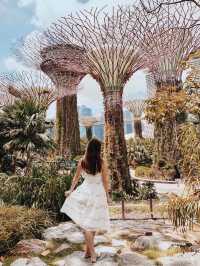 Exploring the Garden city - Garden by the bay
