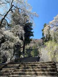 【群馬県/妙義神社】2023年行ってよかった！群馬県の神社②