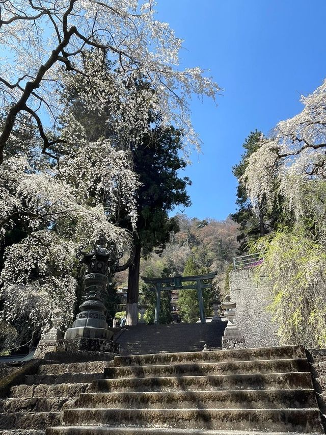 【群馬県/妙義神社】2023年行ってよかった！群馬県の神社②