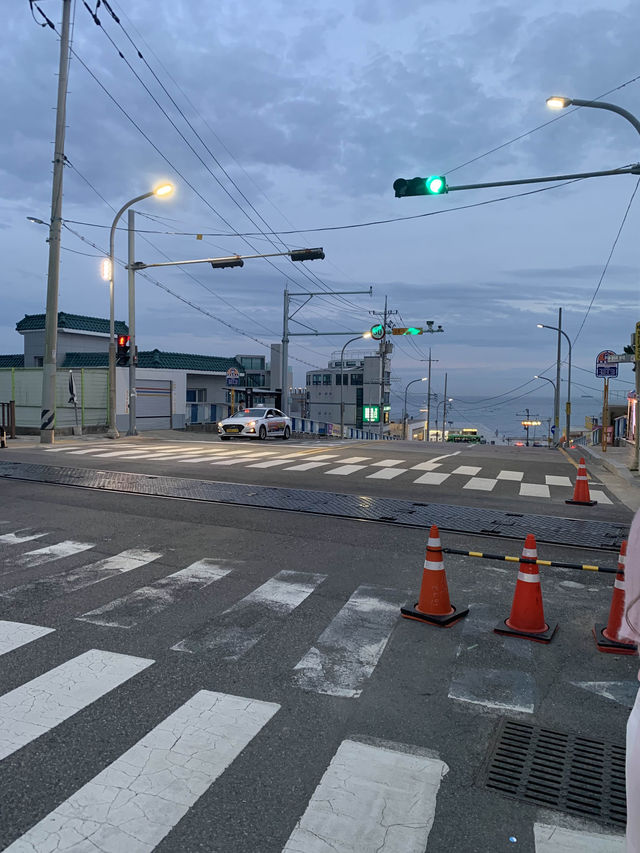 부산 필수코스 블루라인파크🚃🩷