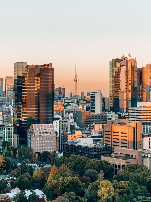 Hotel with the best view of Tokyo