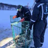 King Crab Hunter in Norway!