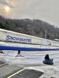 겨울엔 역시 눈썰매!🛷❄️