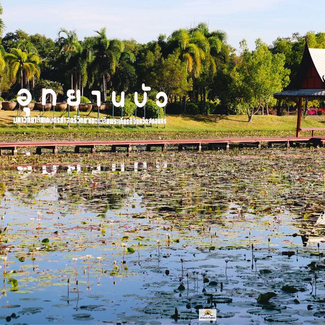อุทยานบัวเฉลิมพระเกียรติ จ.สกลนคร