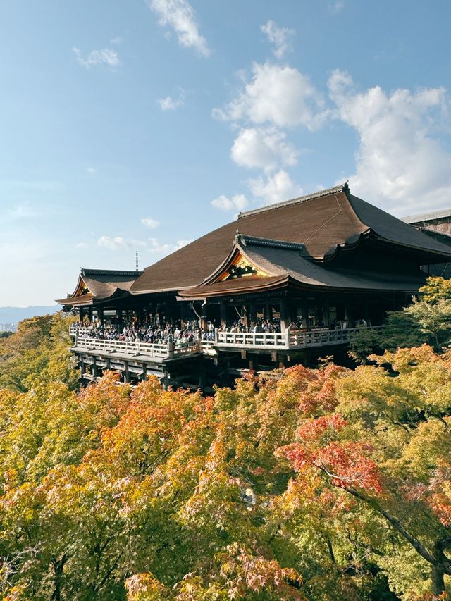 일본의 국보로 지정되어 있는 ‘교토 기요미즈데라’🍂