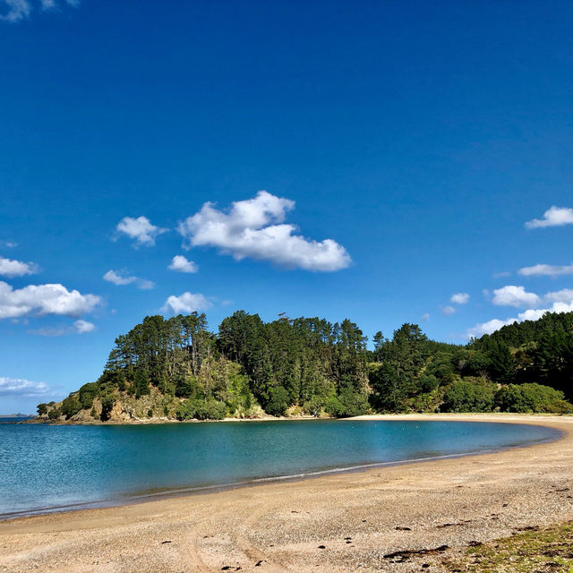 Whangaroa Wonders: Nature's Embrace Awaits