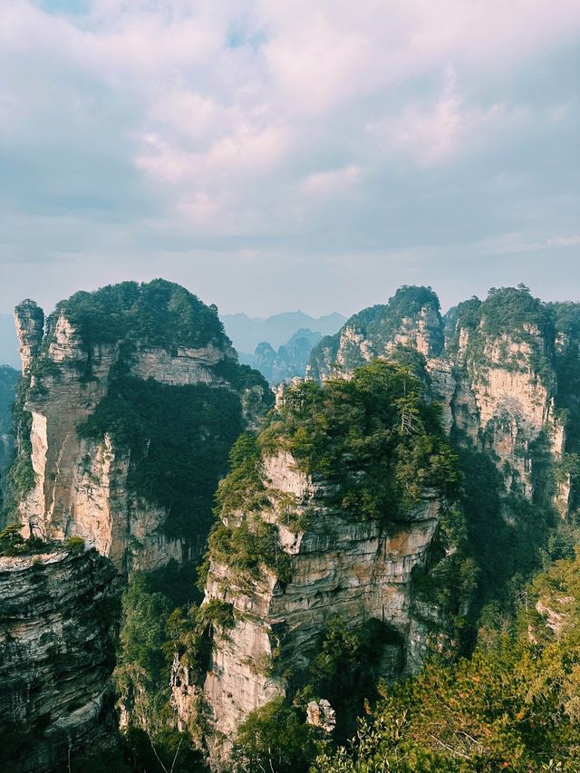 The Avatar Mountains - Zhangjiajie🌲🏔️