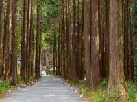 A beautiful park in Gotemba