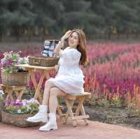 บ้านไร่นายรุ่ง กาญจนบุรี