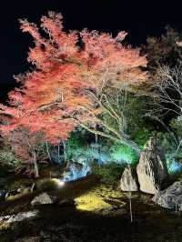 京都景點｜嵐山寶嚴院之夜楓