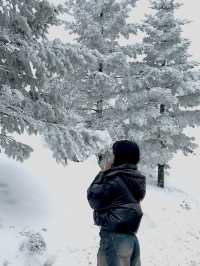 이곳이..겨울왕국?!⛄️ 눈이 가득쌓인 ‘삼양목장‘