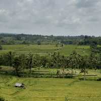 Cycling Through Bali's Jatiluwih