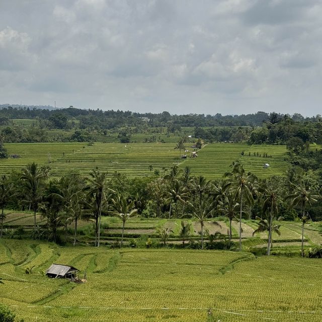 Cycling Through Bali's Jatiluwih