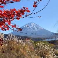 Fujisan ( ภูเขาฟูจิ ) 🗻