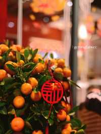 🇨🇳| 深圳-又係你啊 EPICE瀧香
