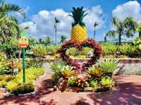 Nago Pineapple Park