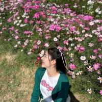 ชมทุ่งดอกไม้@ทับลาน💐