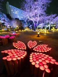 【春の竹あかりイベント！🎋】竹あかりで作られた桜の花びらが可愛すぎる！🌸✨